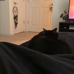 Meet your Posher, Isabel